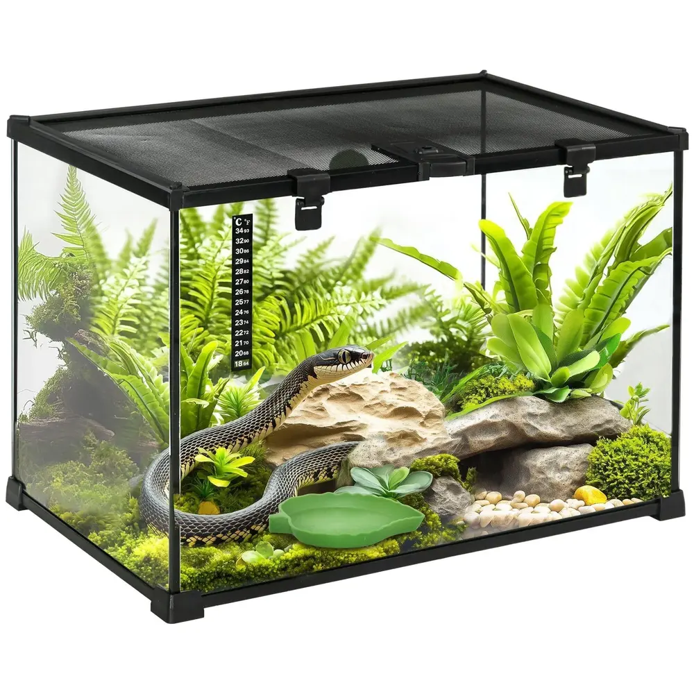 Glasterrarium för Reptiler Rymlig 50 x 30 x 35 Cm