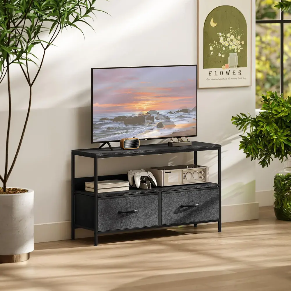 TV-Bänk och Lowboard 2 Lådor och Öppet 98 x 29 x 56 Cm