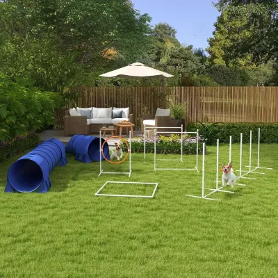 Agility Träningsset Hundsport Flerfärgad av Plast