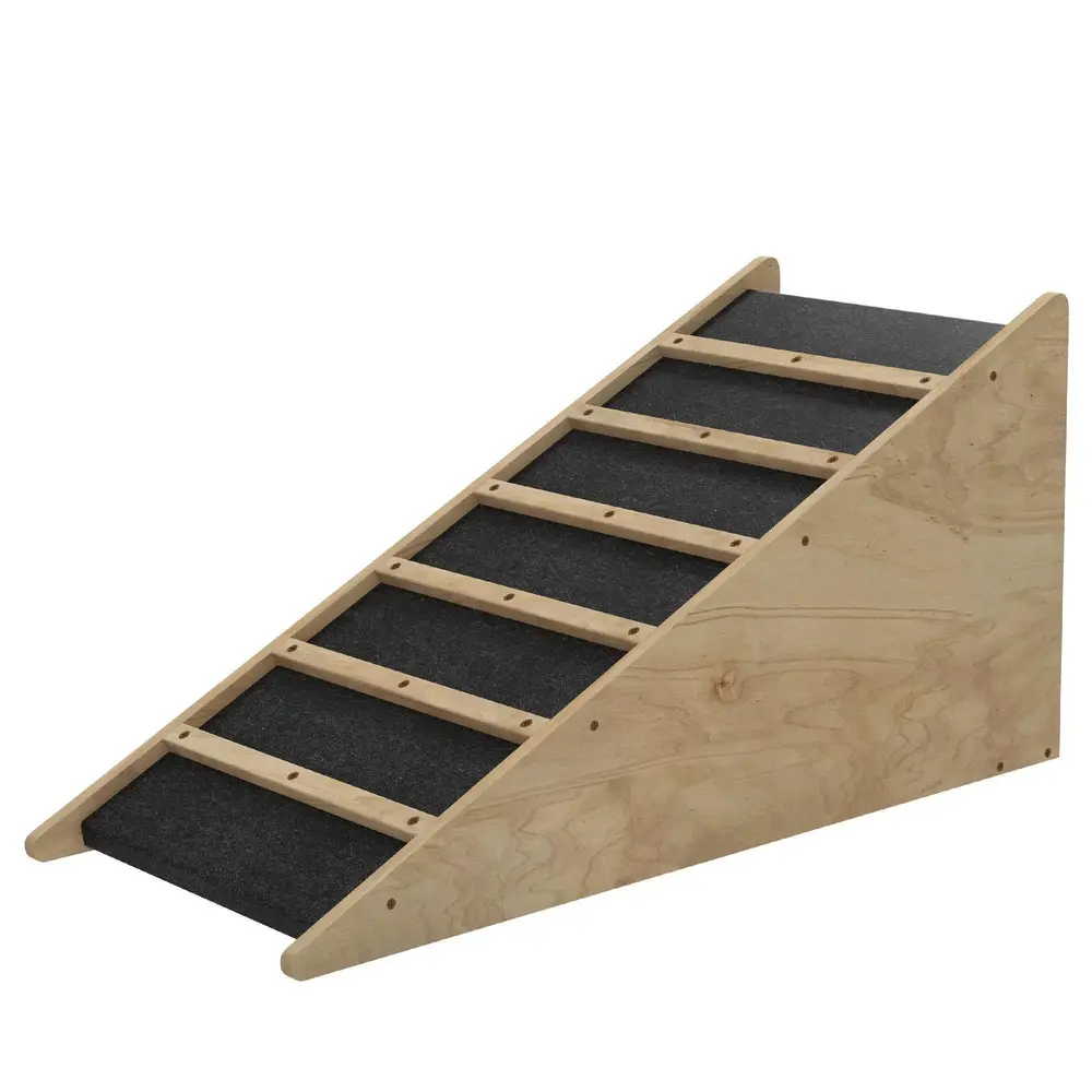 Hundramp Bilramp Svart av Plast för 90 x 40 x 45 Cm
